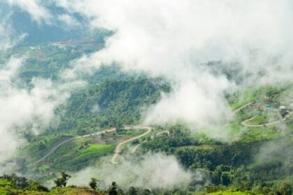 ‘Forest 500’ Report Tracks Coffee Industry Deforestation Commitments