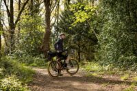 ‘My strategy is just to see how it goes’ – meet the man cycling around the world on a bike made of wood