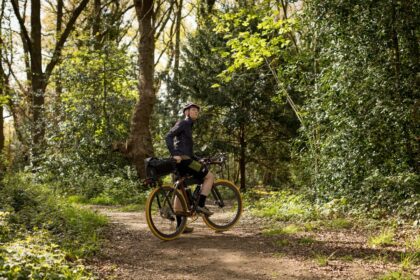 ‘My strategy is just to see how it goes’ – meet the man cycling around the world on a bike made of wood