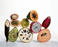 13 Fiber-Rich Foods for a Healthier Gut