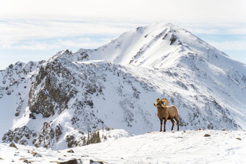 The Coolest Ski Destination in the West Is in New Mexico