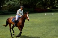 Forget Palm Beach. Wellington Has Plenty of Wealth—and All The Horses