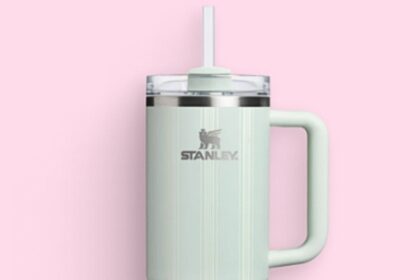 All Stanley Cups 25% Off, Including Viral 40-Ounce Stanley Quencher