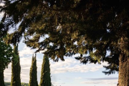 23 Best Airbnbs in Italy, From Puglia to the Dolomites