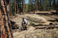 2026 Pinyons and Pines: The Most Demanding Edition Yet