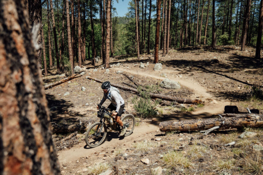 2026 Pinyons and Pines: The Most Demanding Edition Yet