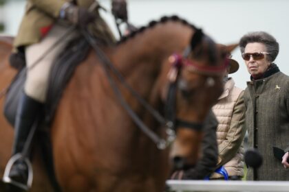 See Princess Anne, Duchess Sophie, and More Photos of the Royal Family Reunion at the Royal Windsor Horse Show