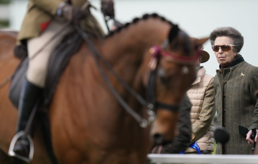 See Princess Anne, Duchess Sophie, and More Photos of the Royal Family Reunion at the Royal Windsor Horse Show
