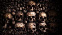 What we’ve been playing – “I’ve been stuck in the bone zone”