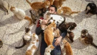 2 Surprising Links Between Cats and Humans—But Only 1 Is Good News