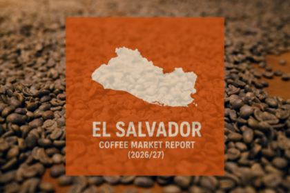 El Salvador Coffee Report: Production Declining Amid Structural Challenges