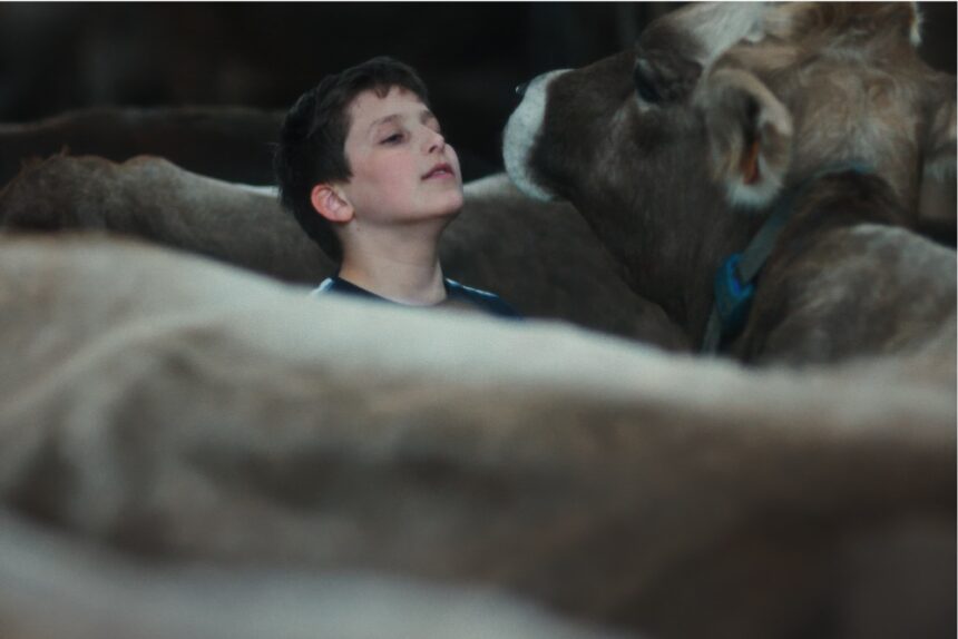 ‘Gabin’ Review: A French Farm Boy Grows Up, Both Fast and Slow, in a Marvelous Cannes Discovery