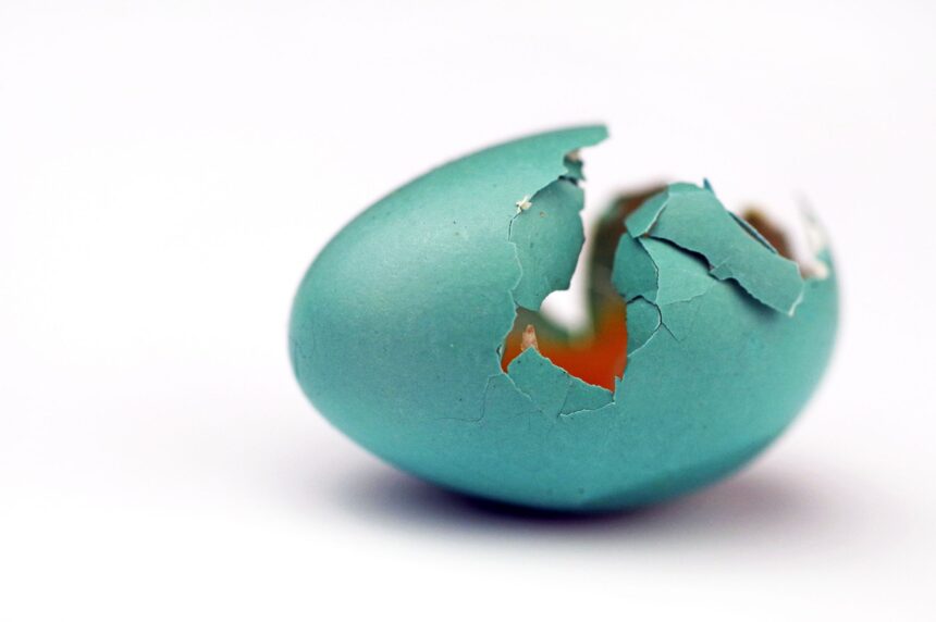 Humans, If You Like Artificial Intelligence, You’ll Love the Artificial Egg