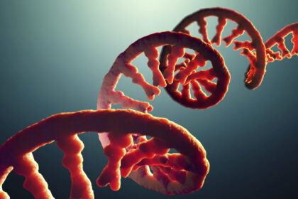 Do you take after your dad’s RNA?