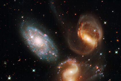 Cosmic Voids May Contain the Universe’s Best Secrets