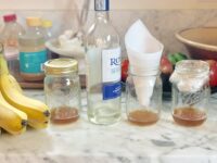 I Tested 4 Simple DIY Fruit Fly Traps, and the Winner Caught a Horrifying Amount of Bugs