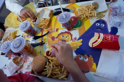 How a Child’s Junk-Food Diet Rewires the Brain