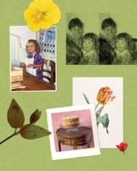A Cake That Crosses Oceans to Tie Together a Family