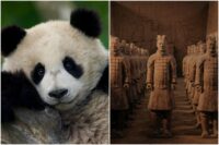 Fremantle Label Beach House Pictures Launches ‘Panda School’ With Jimmy O. Yang, ‘Secret Weapons of China’s First Emperor’ (EXCLUSIVE)