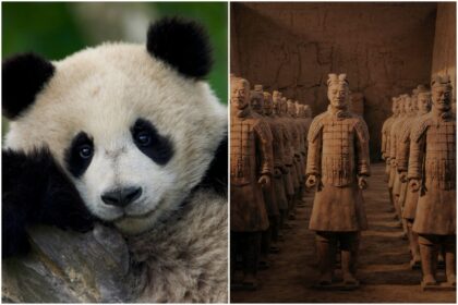 Fremantle Label Beach House Pictures Launches ‘Panda School’ With Jimmy O. Yang, ‘Secret Weapons of China’s First Emperor’ (EXCLUSIVE)