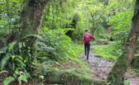 Untamed Uganda: A 5-Day Journey into Africa’s Alpine Wilderness (Rwenzori Mountains)