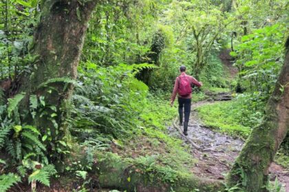 Untamed Uganda: A 5-Day Journey into Africa’s Alpine Wilderness (Rwenzori Mountains)