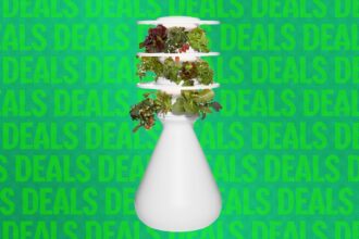 This Eye-Catching Indoor Garden Is 20 Percent Off Right Now