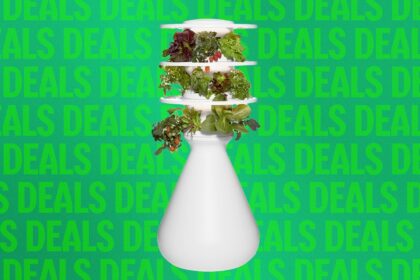 This Eye-Catching Indoor Garden Is 20 Percent Off Right Now