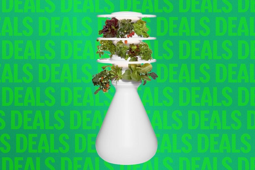 This Eye-Catching Indoor Garden Is 20 Percent Off Right Now