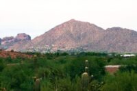 One Hospitalized After Arizona Hikers Chased Off Mountain by Swarms of Bees
