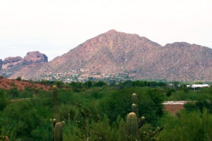 One Hospitalized After Arizona Hikers Chased Off Mountain by Swarms of Bees