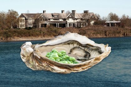 Flesh-Eating Bacteria in Hamptons Water: Oystermen Dispute Scientists’ Claims