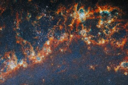 A curious pattern emerges from thousands of baby star clusters