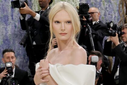 Model Alex Consani Frees the Nipple in Sheer Met Gala 2026 Look
