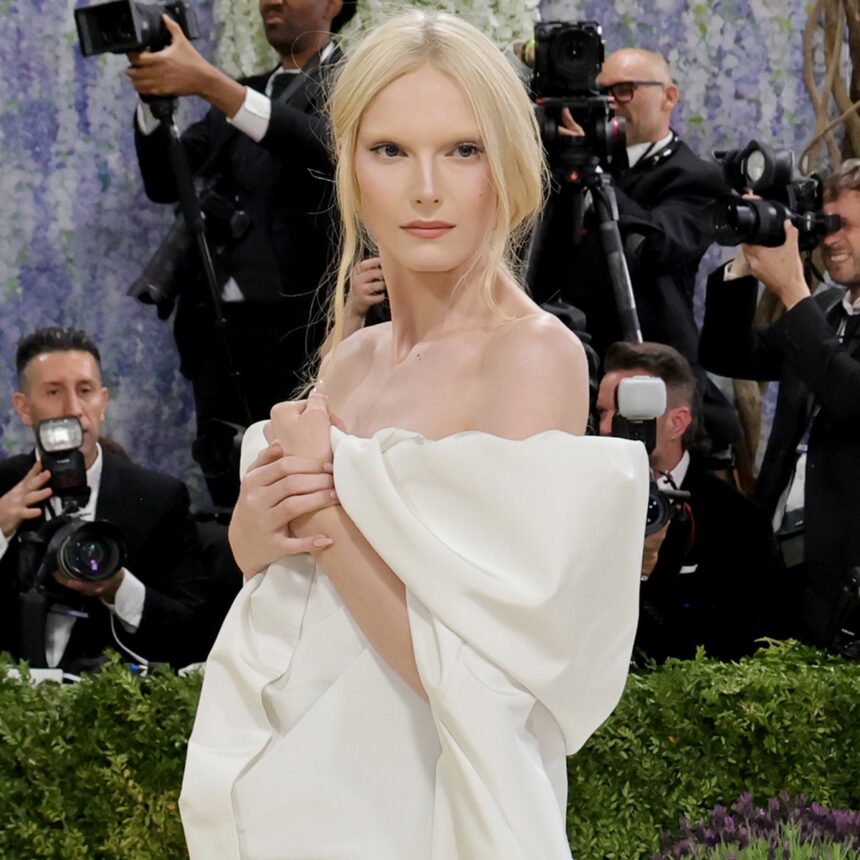 Model Alex Consani Frees the Nipple in Sheer Met Gala 2026 Look
