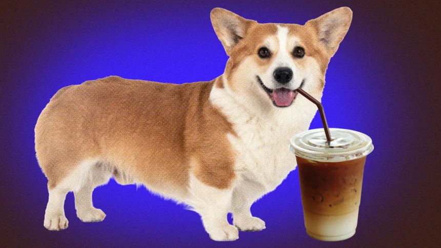 Why an AI Insurance Unicorn Opened a 24/7 Café to Win Customers