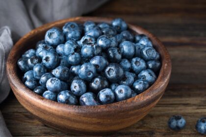 TikTok’s AI Overviews Probably Thinks This Story Is a Blueberry