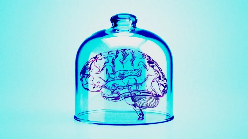 A Surprising Number of U.S. Doctors Believe Brain Preservation Could Actually Work