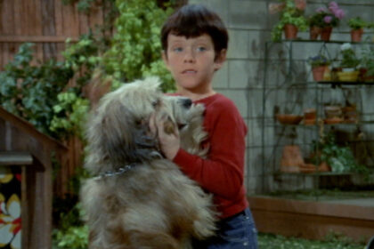 The Tragic Real-Life Fate Of The Brady Bunch’s Dog, Tiger