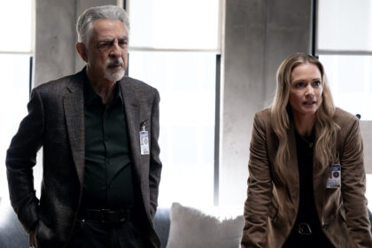 15 Best TV Shows Like Criminal Minds