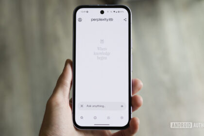 Perplexity confirms reduced limits for some users following promo code crackdown