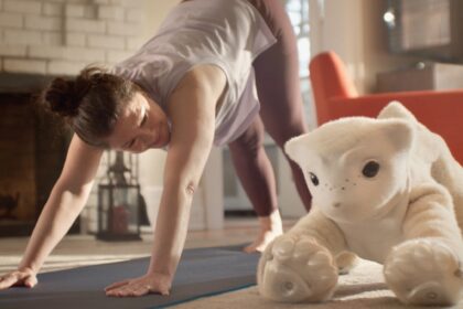 Roomba inventor unveils a companion robot that’s more pet than helper