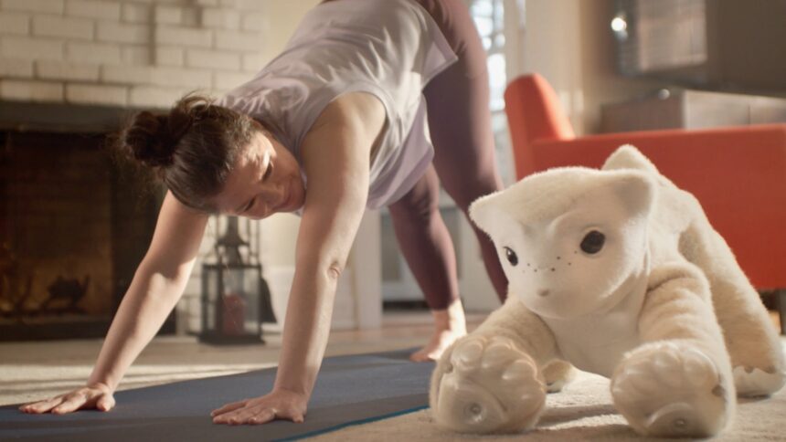 Roomba inventor unveils a companion robot that’s more pet than helper