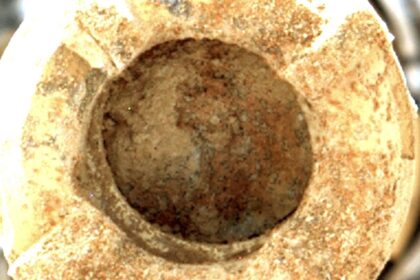 Scientists propose a new approach for the detection of alien life