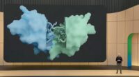 Searching for Cancer Cures Is Part of Google’s AI Story. It Deserves to Be More Than a Footnote