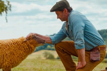 Who Should Be the Next “Sheep Detective”?
