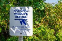 Feds Propose Huge Hunting, Fishing Expansion on Wildlife Refuges: Here’s the Catch