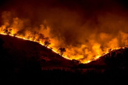 Fewer in Number, Worse in Scale: What the Science Says About Wildfires in the West