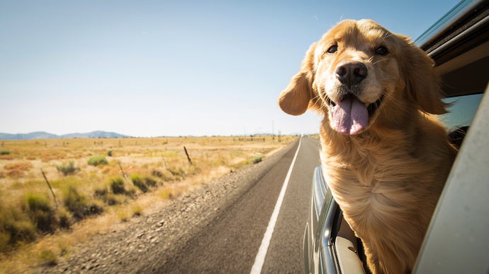 What we’ve been playing – “I’d like to shout out a fun game you can only really do on the road”