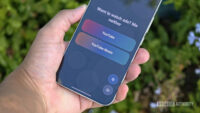 Morphe users will soon get a highly-requested YouTube Premium feature
